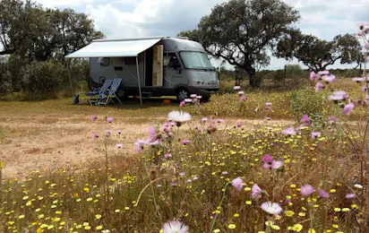 Bubulcus & Bolotas Camping