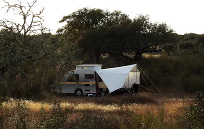 Bubulcus & Bolotas Camping
