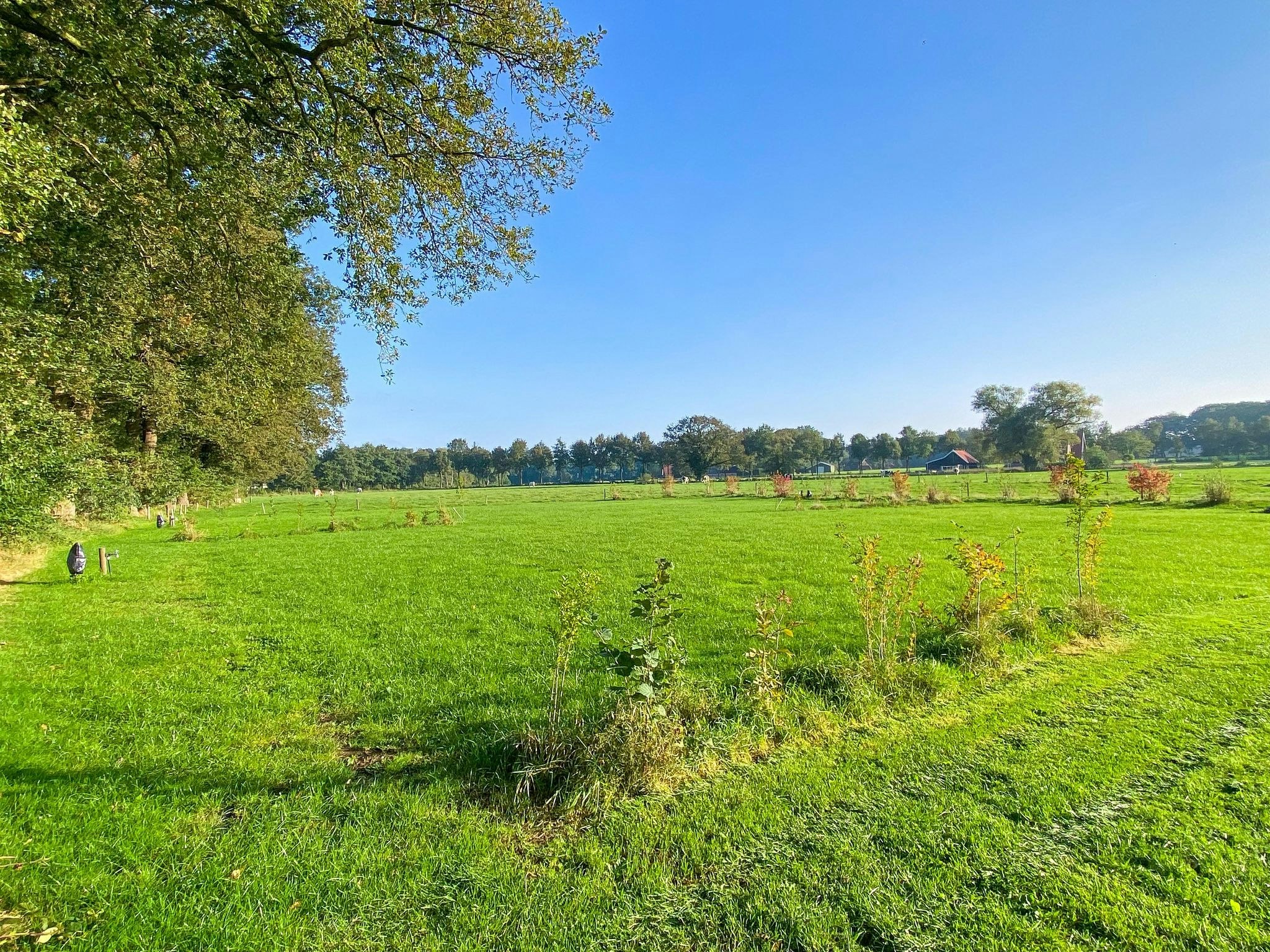 Camping/Glamping Morskersweitje