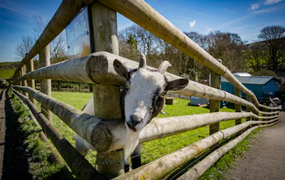 Beech Croft Farm Caravan Park