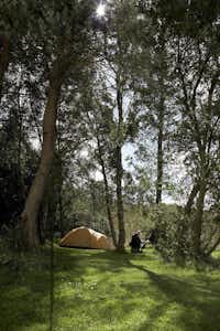 Bellingham Camping & Caravanning Club