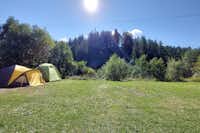 Camping Bergblick - Zeltwiese auf dem Campingplatz