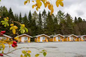 Gelbe Ferienhäuser in Reihe auf einem Campingplatz, umgeben von hohen Nadelbäumen und Wald im Hintergrund.