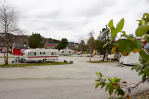 Wohnwagen und Campingbusse stehen auf einem Campingplatz, im Vordergrund Bäume und Sträucher am Weg.