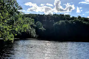 Ruhiger See mit Seerosen, umgeben von dichtem Wald und bewölktem Himmel, Sonnenreflexe auf der Wasseroberfläche.
