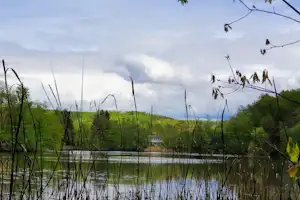 See mit Schilf und Bäumen im Vordergrund, dahinter ein kleines Gebäude am Ufer und bewölkter Himmel.