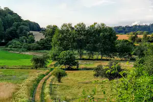 Grüne Campinglandschaft mit Wiesen, schmalem Weg und Hecken, im Hintergrund Bäume und Felder unter wolkigem Himmel.