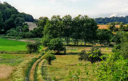 BergseeCamp