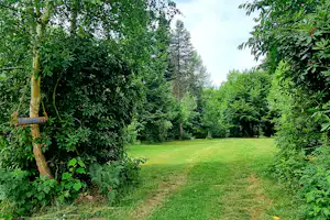 Grünes Campinggrundstück mit Rasenfläche, Hecken und Bäumen, Blick auf einen schmalen Weg zwischen dem Grün.