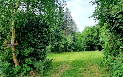 BergseeCamp