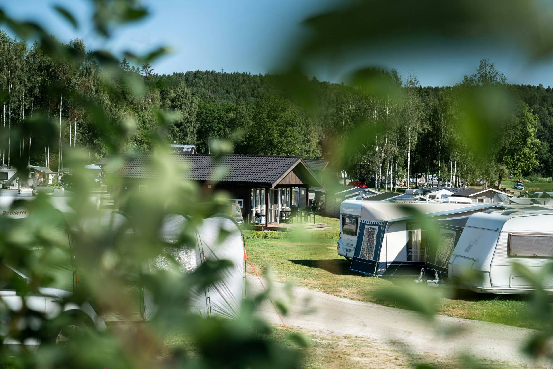Beverøya Camping - Mobilheime und Standplatzwiese auf dem Campingplatz