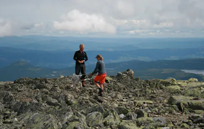 Bøflaten Camping