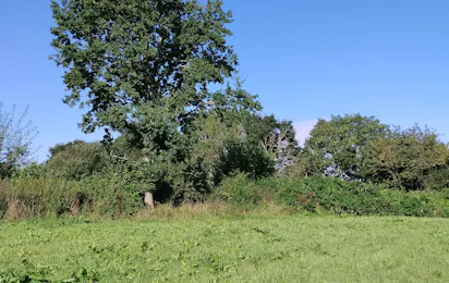 Big Birds Farm