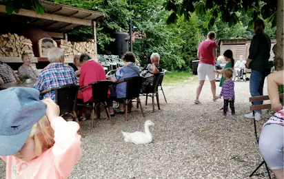 Big Birds Farm