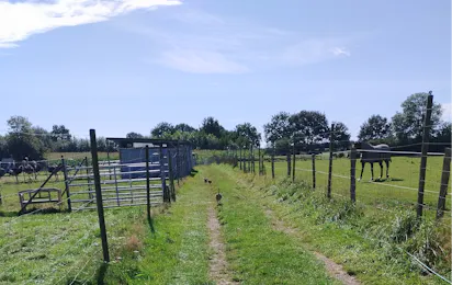 Big Birds Farm