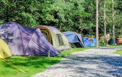 Bilz-Campingplatz Radebeul