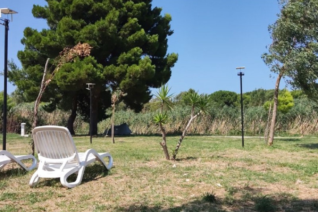 BirdWatching Parking Zoe - Blick auf die Wiese mit Liegestühlen