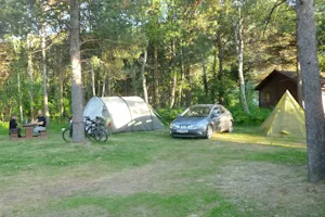 Birkelund Camping - Zeltplätze im Grünen