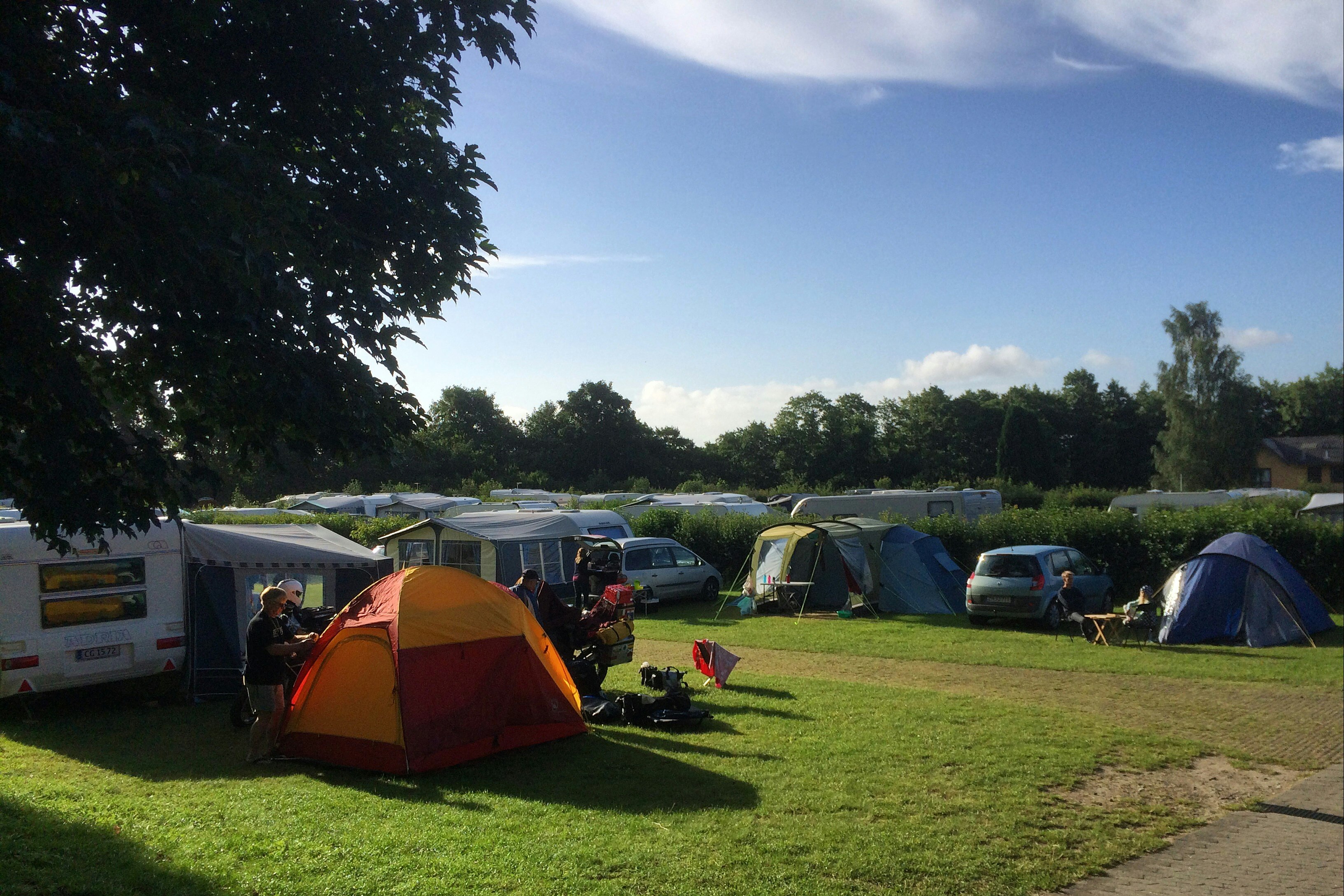 Birkhede Camping -  Campingbereich für Zelte und Wohnwagen im Schatten der Bäume