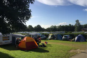 Birkhede Camping - Campingbereich für Zelte und Wohnwagen im Schatten der Bäume