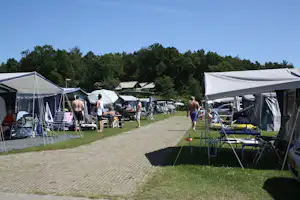 Birkhede Camping - Zelt- und Wohnwagenstellplatz umringt von Wald auf dem Campingplatz