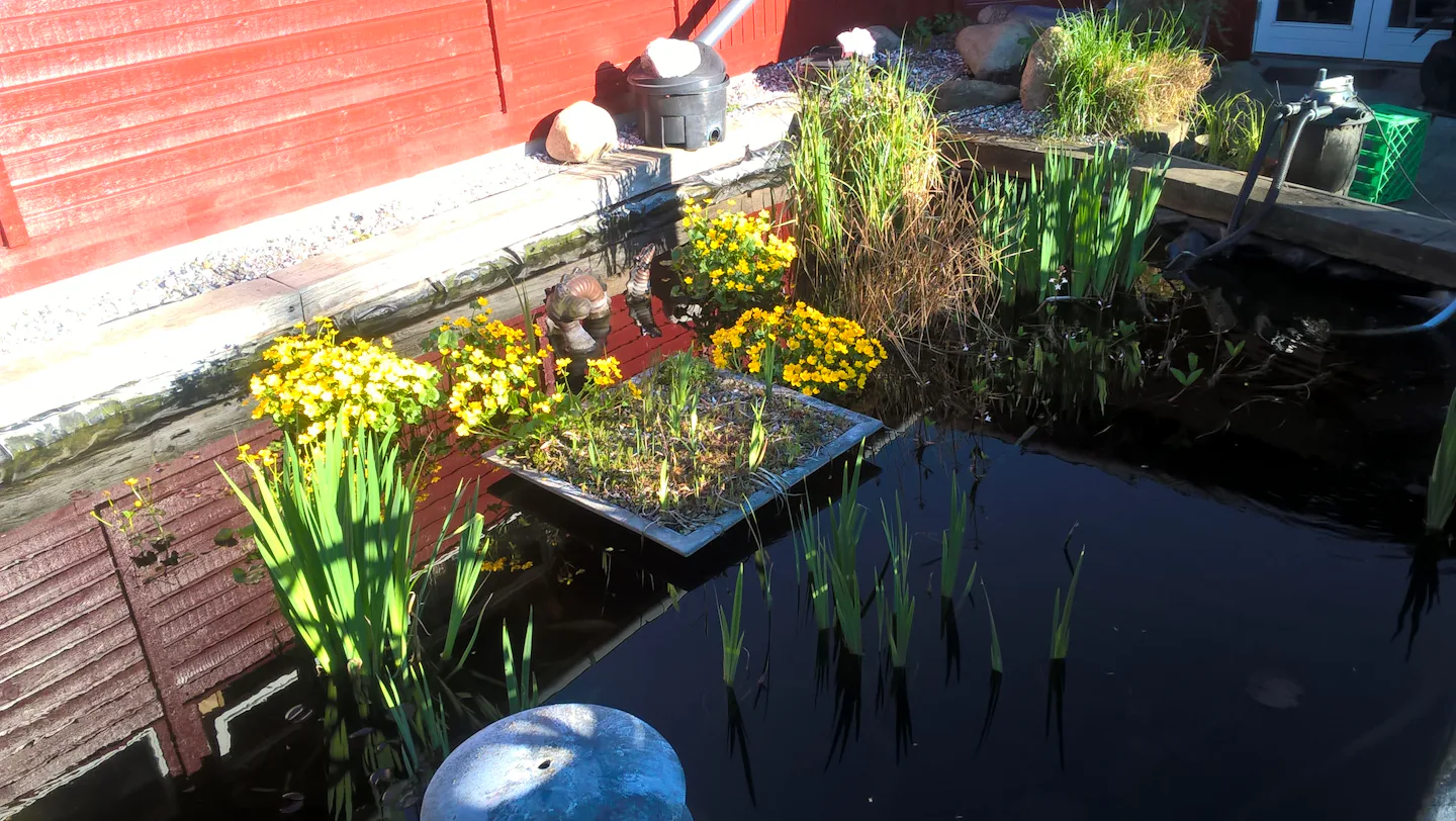 Bjerge Sydstrand Camping