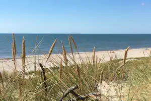 Bjerregaard Camping - Campingplatz mit direktem Zugang zum Strand an der Nordsee