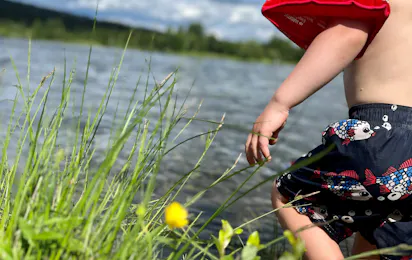 Bjørkestølen Helårscamping