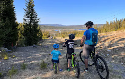 Bjørkestølen Helårscamping
