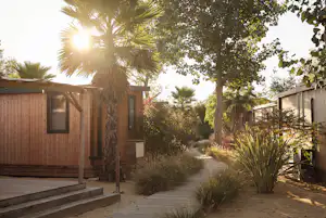 Holzbungalow mit Terrasse, Palmen und Gartenweg zwischen Büschen, im Sonnenlicht am Campingplatz.