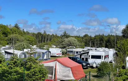 Blokhus By Camping