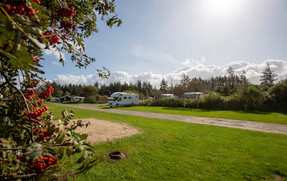 Blokhus By Camping