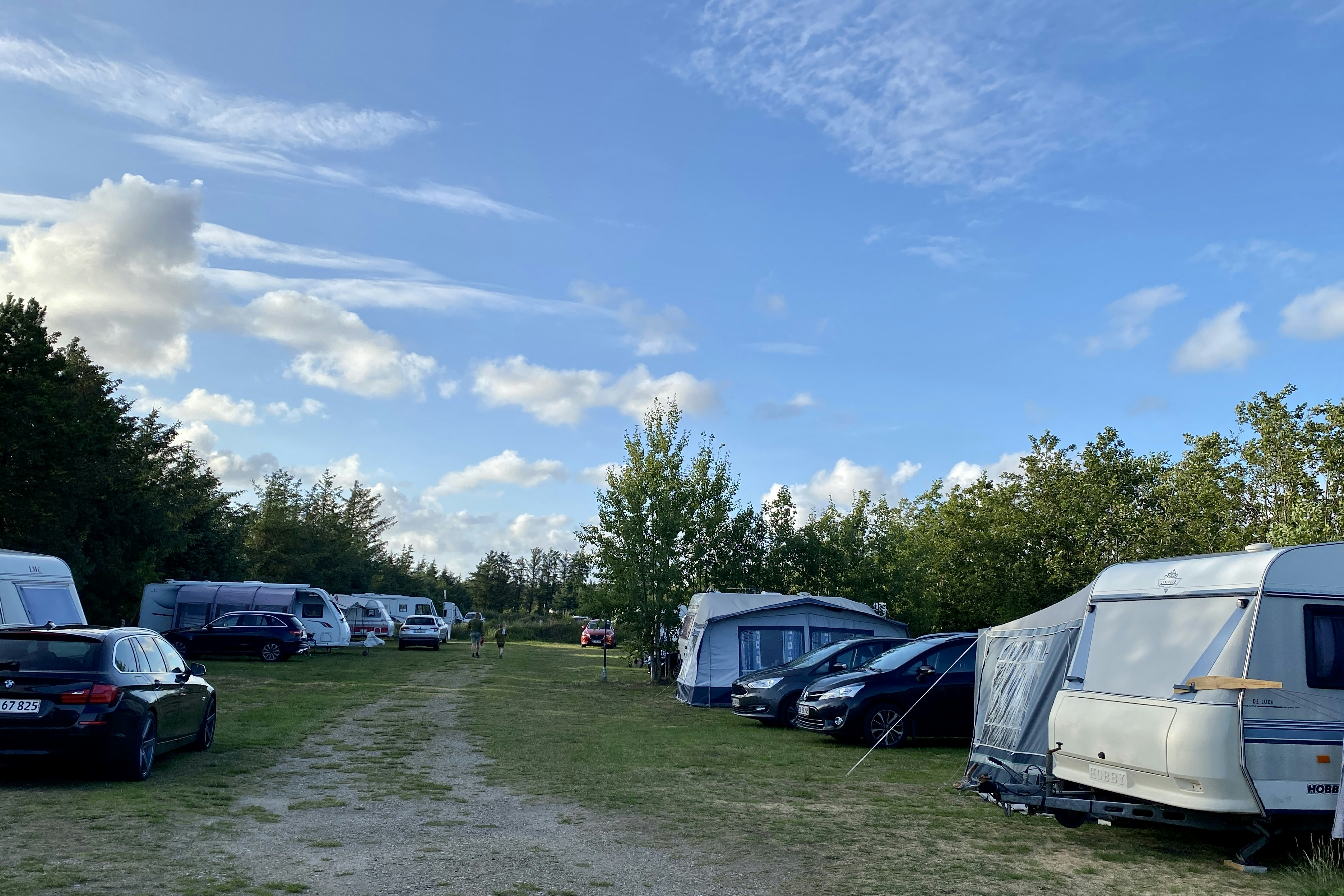 Blokhus Natur Camping - Blick auf die Standplatzwiese