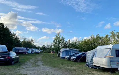 Blokhus Natur Camping
