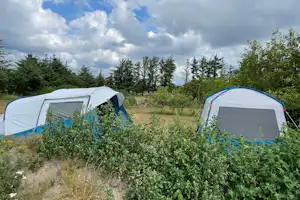 Blokhus Natur Camping Blokhus Klit Camping - Zeltwiese