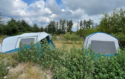 Blokhus Natur Camping