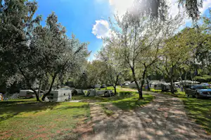 Blütencamping Riegelspitze - Strasse auf dem Campingplatz mit Stellplätzen unter Bäumen