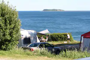 Blushøj Camping schattiger - Wohnmobilstellplatz am Meer auf dem Campingplatz