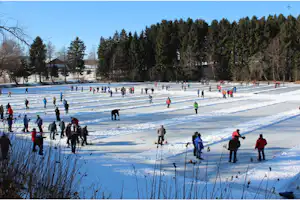 Winterliche Spaziergänger auf einem zugefrorenen See, umgeben von Bäumen und verschneiten Wegen im Wald.