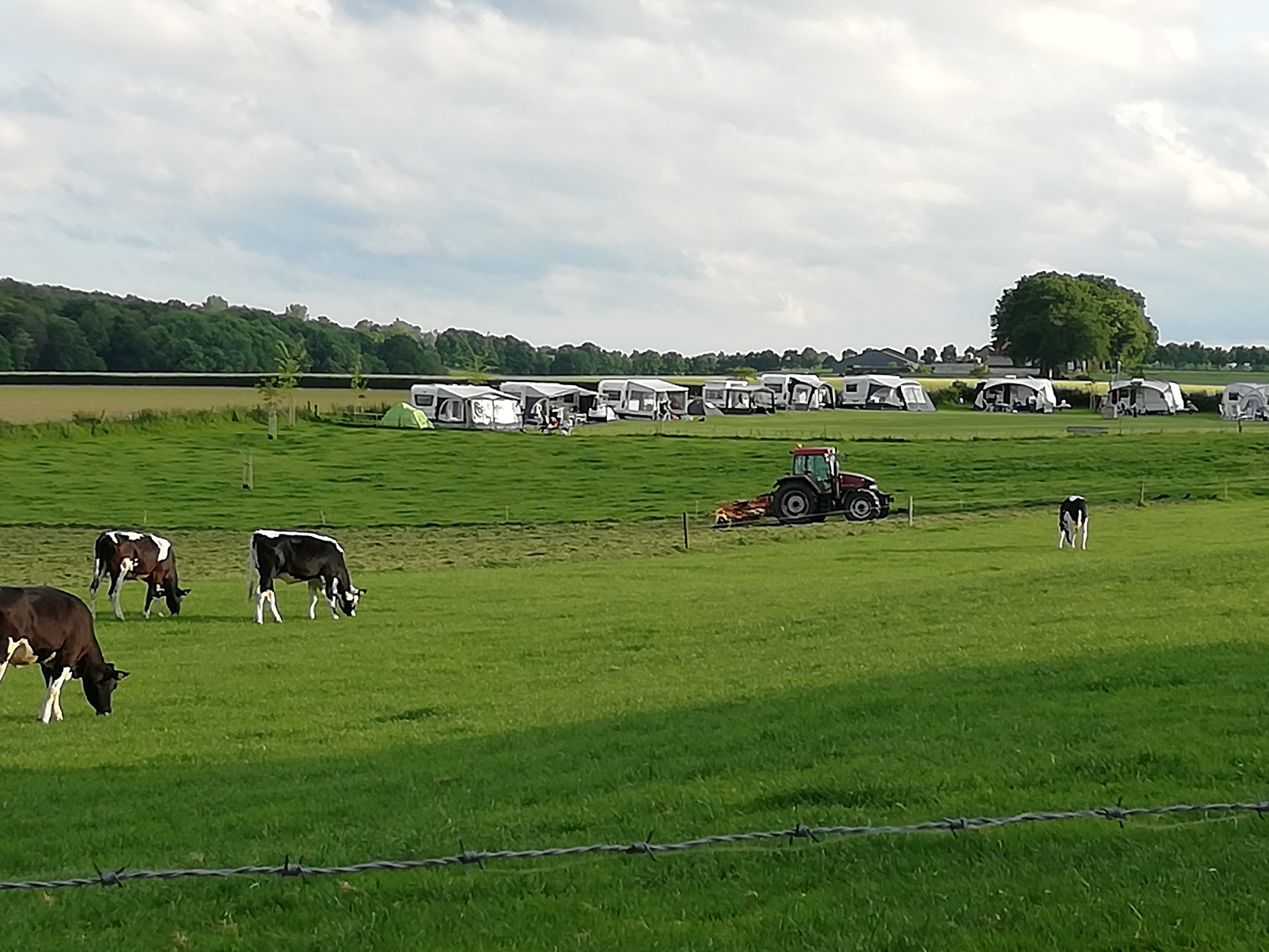 Boerderij Camping Berghemmerhof
