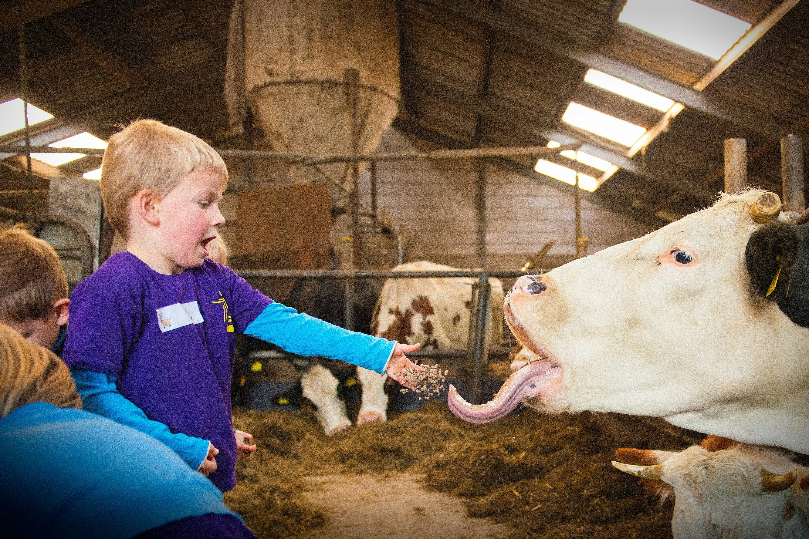 Boerderij De Boterbloem - Kinder kümmern sich um Tiere auf dem Campingplatz