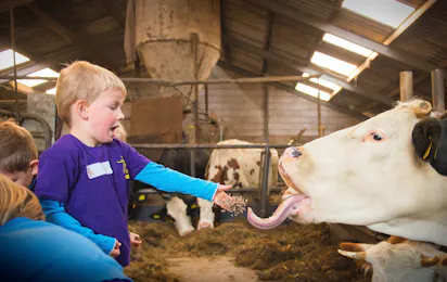 Boerderij De Boterbloem