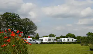 Wohnwagen auf einer Campingwiese, im Vordergrund rote Blumen und Hecken, daneben ein Auto und weitere Fahrzeuge.