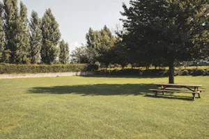 Boerderijcamping Biej Bôkke