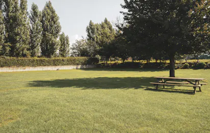 Boerderijcamping Biej Bôkke