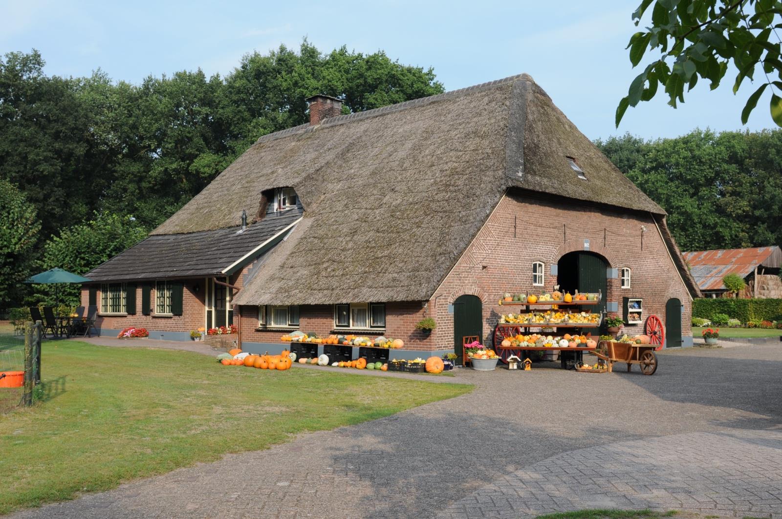 Boerderijcamping De Berkebomen