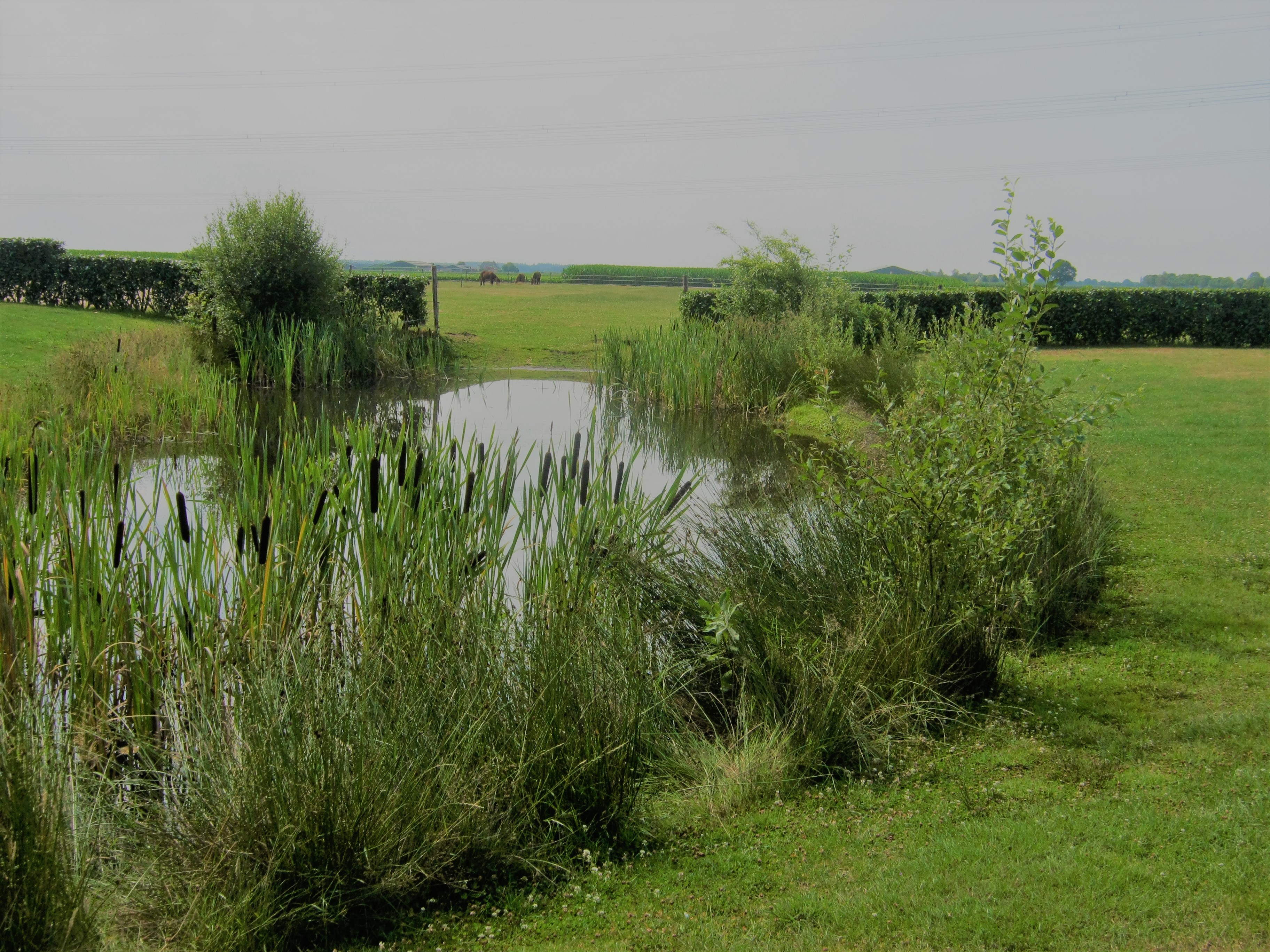 Boerderijcamping De Binnentuin