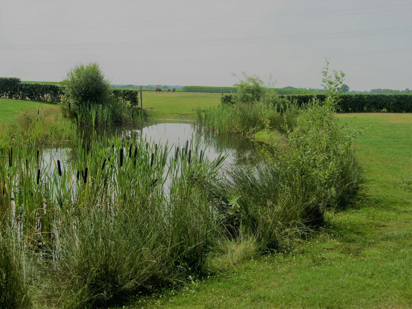 Boerderijcamping De Binnentuin