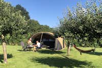 Boerderijcamping De Boergondiër - bewohnter Zeltstandplatz auf grüner Wiese mit Hängematte zwischen den Bäumen