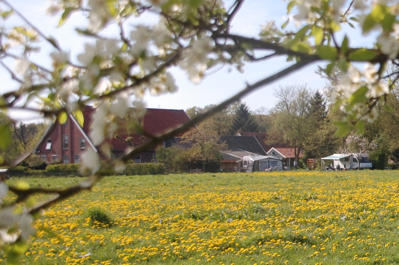 Boerderijcamping De Brömmels